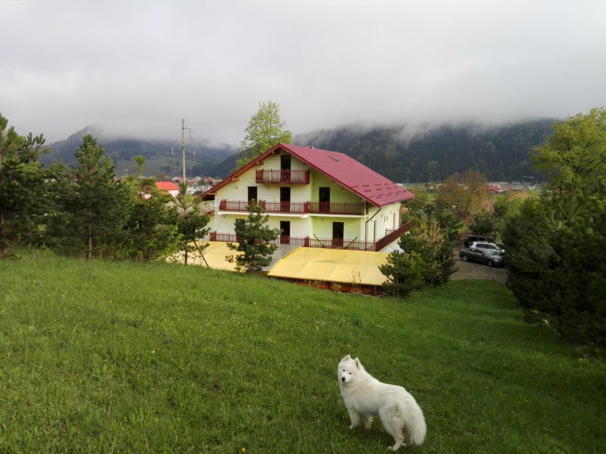 Grandemi Belvedere Bucovina Frasin Exterior foto